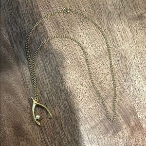 Gold Wishbone Necklace